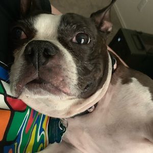 Meet your Posher, Casey